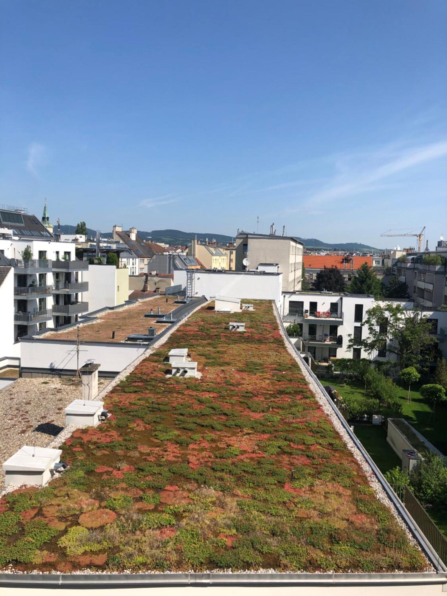 Vienna Sunny Side Up Apartments Extérieur photo